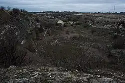 Входная выемка