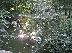 Вид с Моста на улице Правды.