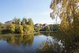 Барский (Хуторской) пруд ручья Скакуха.