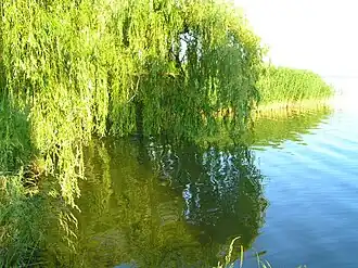 озеро и его северо-восточный берег