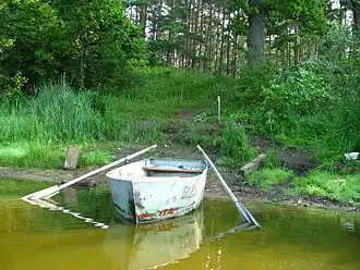 Берег озера летом