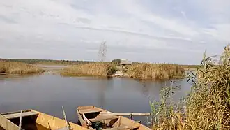 Берег озера в сентябре