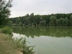 Благодатненский пруд на реке Берестовка