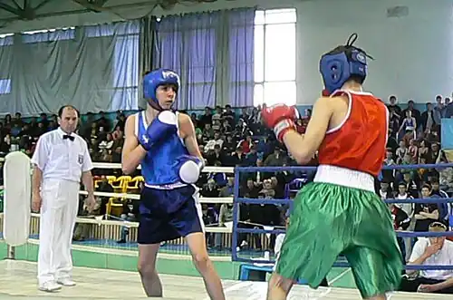 Всероссийский турнир по боксу памяти А. А. Улесова