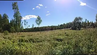 Болото в Орловой роще