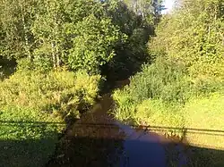 Вид по течению