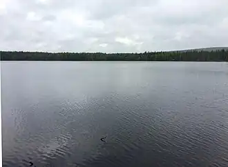 Юго-восточная оконечность озера