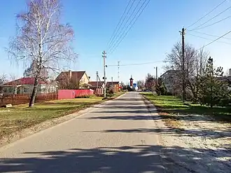 Улица в селе Большое Алексеевское