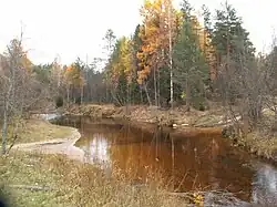 река Большая Сельменьга, примерно в 1 километре от устья