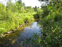 Верховье Большого Авзяна летом