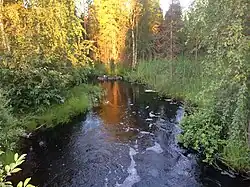 Вид по течению