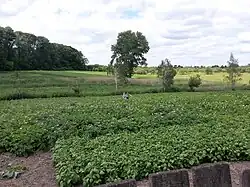 Сельские огороды