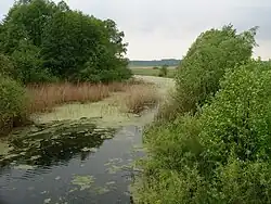 река в нижнем течении (возле села Надежда)