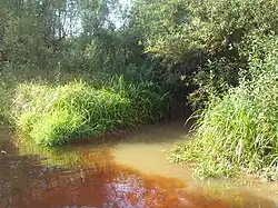 Устье Вельи