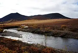 Река в верховьях