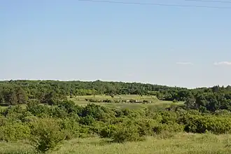 Вид на Злобовский лес