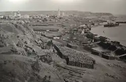 Вид на береговую линию Камышина