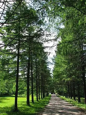 Петровско-Разумовский заказник, 2015 год