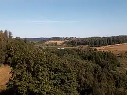 Вид на Мальское озеро со смотровой площадки Изборской крепости