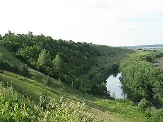 Высокий берег Междуречья у реки Зуша