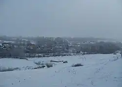 Вид на село Тылявка