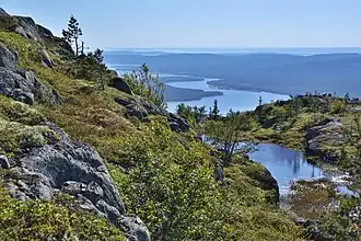 Вид со склона горы Кивакка на место впадения реки Оланга в Пяозеро. Национальный парк Паанаярви. Карелия