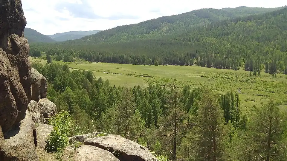 Долина реки Брянки