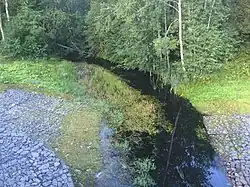 Вид по течению