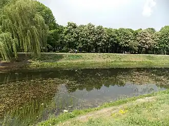 пруд Отрадный