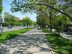 Русская, одна из самых зелёных улиц Владивостока