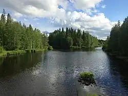 Вид по течению (в сторону Выгозера)