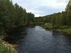 Вид по течению