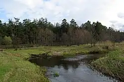 Войнинга в мае