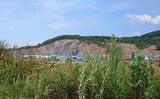 Урочище Волчьи Ворота: карьер месторождения аргиллита