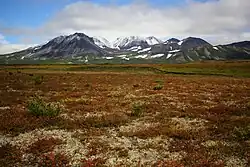 Вулкан Тауншиц