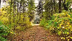 Аллея перед домом Германа