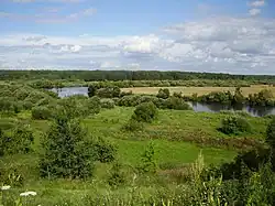 Вид на реку Свислочь с городища.