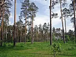 Парк культуры и отдыха