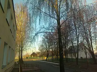 В центре агрогородка