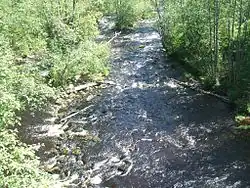 Правый приток Гладышевка