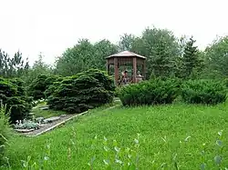 Глубокский дендрологический сад