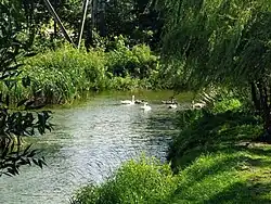 Канал, соединяющий озёра Великое и Кагальное