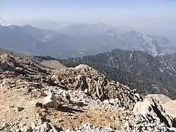 На вершине горы Тахталы