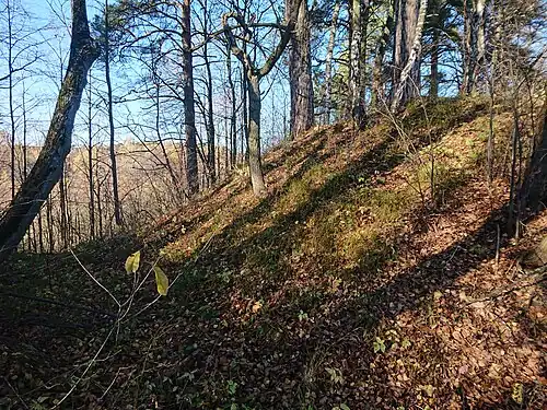 Ров между валами с юго-западной стороны