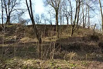 Вид вала городища Вита-Почтовая