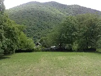 Лесной массив в Шекинском районе Азербайджана