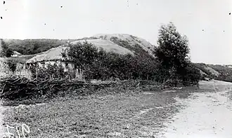 Гочевское городище «Крутой курган»