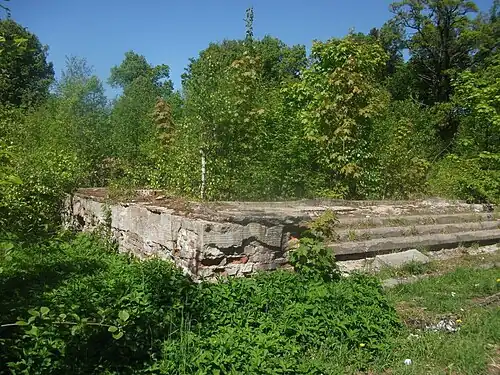 Дворец Вяземских, руины, 2012 год