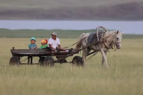 Детей катают на телеге