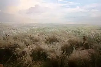 Диорама «Степь»